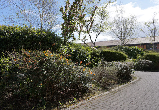 Sunderland Enterprise Park Management Company Limited (SEP)